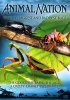 Постер «Самые большие и страшные жуки в мире»
