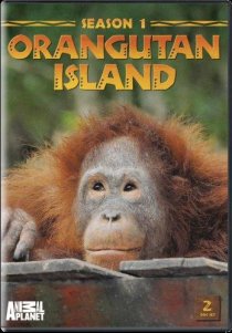«Остров орангутанов»