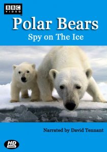 «Белый медведь: Шпион во льдах»