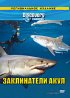 Постер «Discovery: Заклинатели акул»