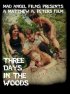 Постер «Three Days in the Woods»