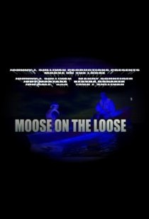 «Moose on the Loose»
