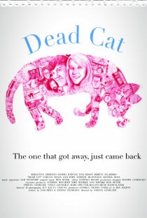 «Мертвый кот»