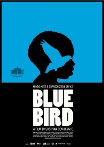 «Синяя птица»