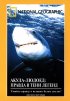 Постер «НГО: Акула-людоед. Правда в тени легенд»
