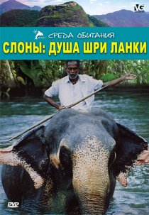 «Слоны: Душа Шри-Ланки»