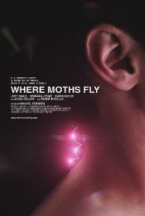«Where Moths Fly»