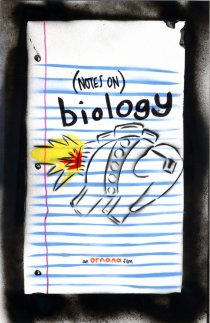 «Заметки: Биология»