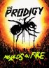 Постер «The Prodigy: World's on Fire»