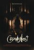 Постер «Crowsnest»