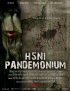 Постер «H5N1: Pandemonium»