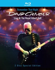 «David Gilmour Remember That Night»