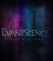 «Evanescence: What You Want»