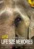 Постер «Слоны как они есть»