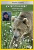 Постер «Кейси и Брут: В мире медведей»