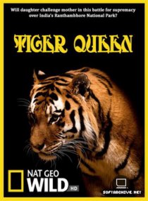 «Королева тигров»