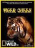 Постер «Королева тигров»
