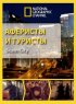 Постер «Аферисты и туристы»