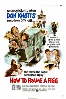 «How to Frame a Figg»