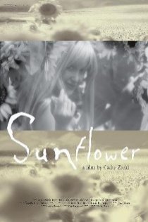 «Sunflower»