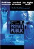 Постер «The Private Public»