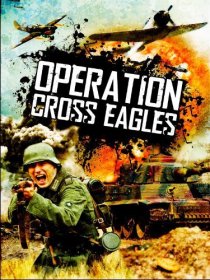 «Operation Cross Eagles»