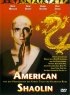 Постер «Американский Шаолинь»