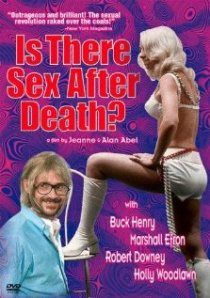 «Is There Sex After Death?»