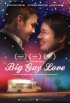 Постер «Большая гей-любовь»