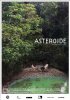Постер «Астероид»