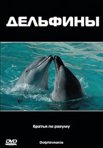 «Дельфины»