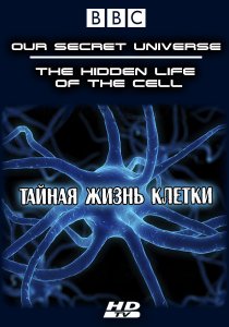 «Внутренняя вселенная: Тайная жизнь клетки»