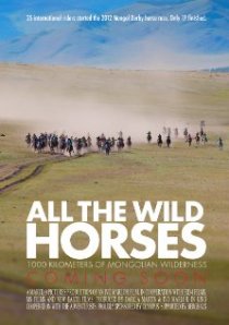«All the Wild Horses»