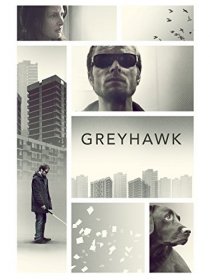 «Greyhawk»