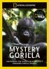 Постер «Тайна горилл»