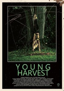 «Young Harvest»