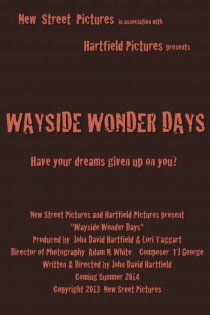 «Wayside Wonder Days»