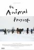Постер «The Animal Project»