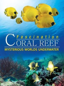 «Коралловый риф: Удивительные подводные миры»