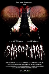 «Саркофаг»