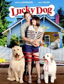 «Lucky Dog»