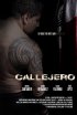 Постер «Callejero»