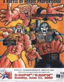 «WCW Мощный американский удар»