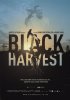 Постер «Black Harvest»
