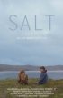 Постер «Salt»