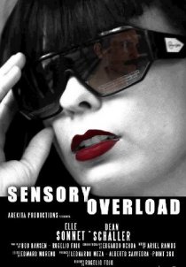«Sensory Overload»