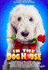 Постер «In the Dog House»