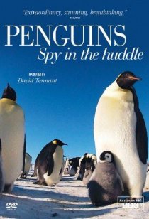 «Пингвины: Шпион в толпе»
