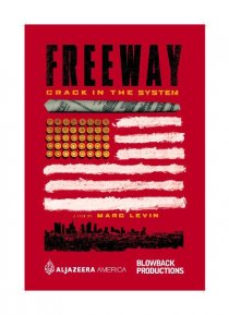 «Freeway: Crack in the System»