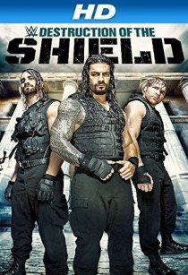 «Journey to SummerSlam: The Destruction of the Shield»